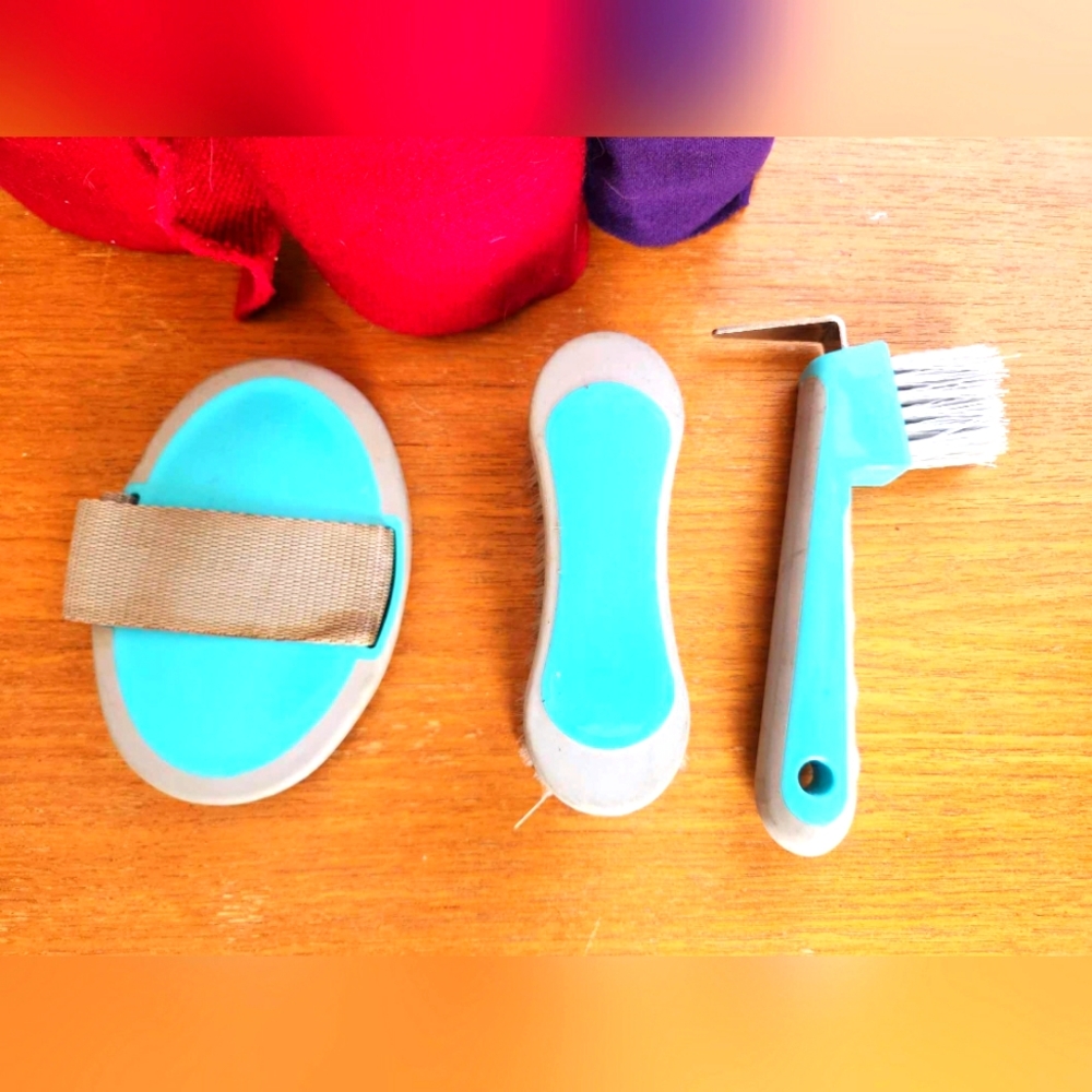 🌟 HOST PICK 🌟 Kids starter pony/horse grooming set🤠🐎💕Hoof pick/brush combo
